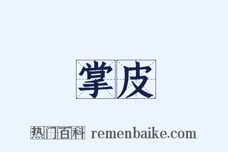 掌皮是什么意思的图片
